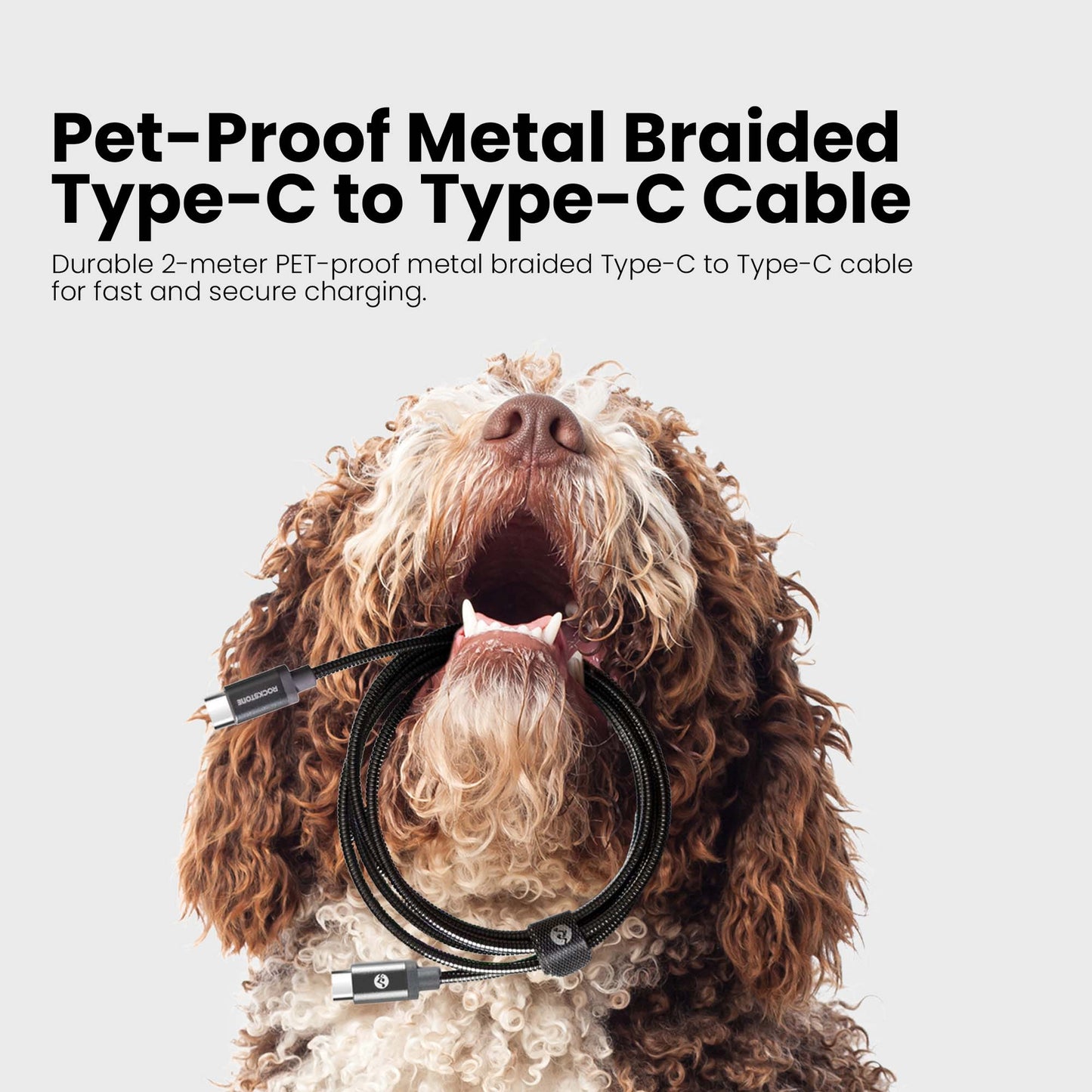 Pet Friendly Metal Tangle Free Braided Type-C to Type-C Cable - 2 Meter