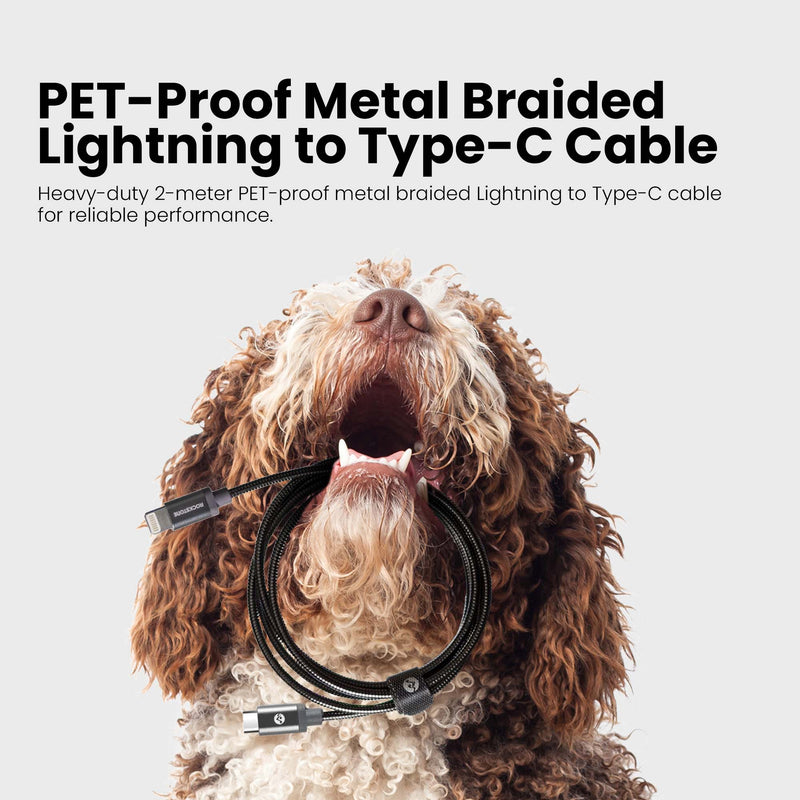 Pet Friendly Metal Tangle Free Braided Lightning to Type-C Cable - 2 Meter