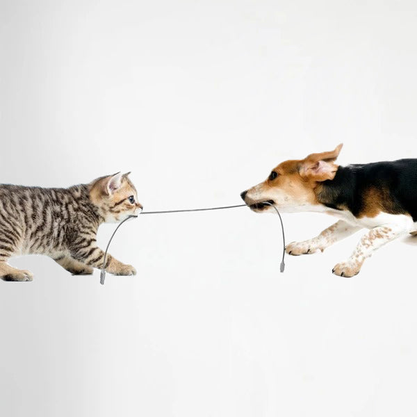 Pet Friendly Metal Tangle Free Braided Lightning Cable Silver - 1.2 Meter